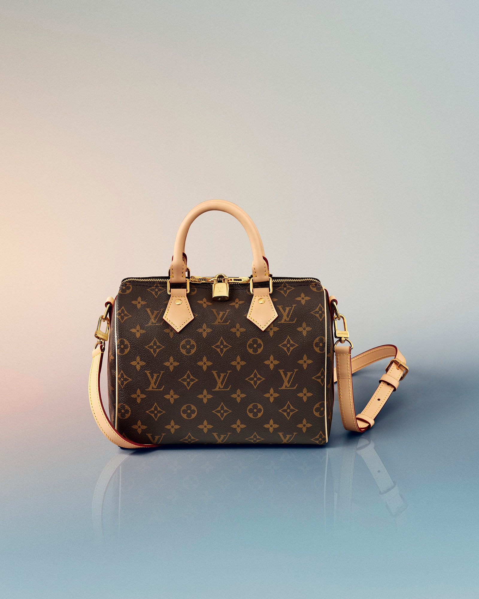Chinese　LOUIS VUITTON   路易威登  Danville ChineseLOUIS VUITTON 路易威登 Danville