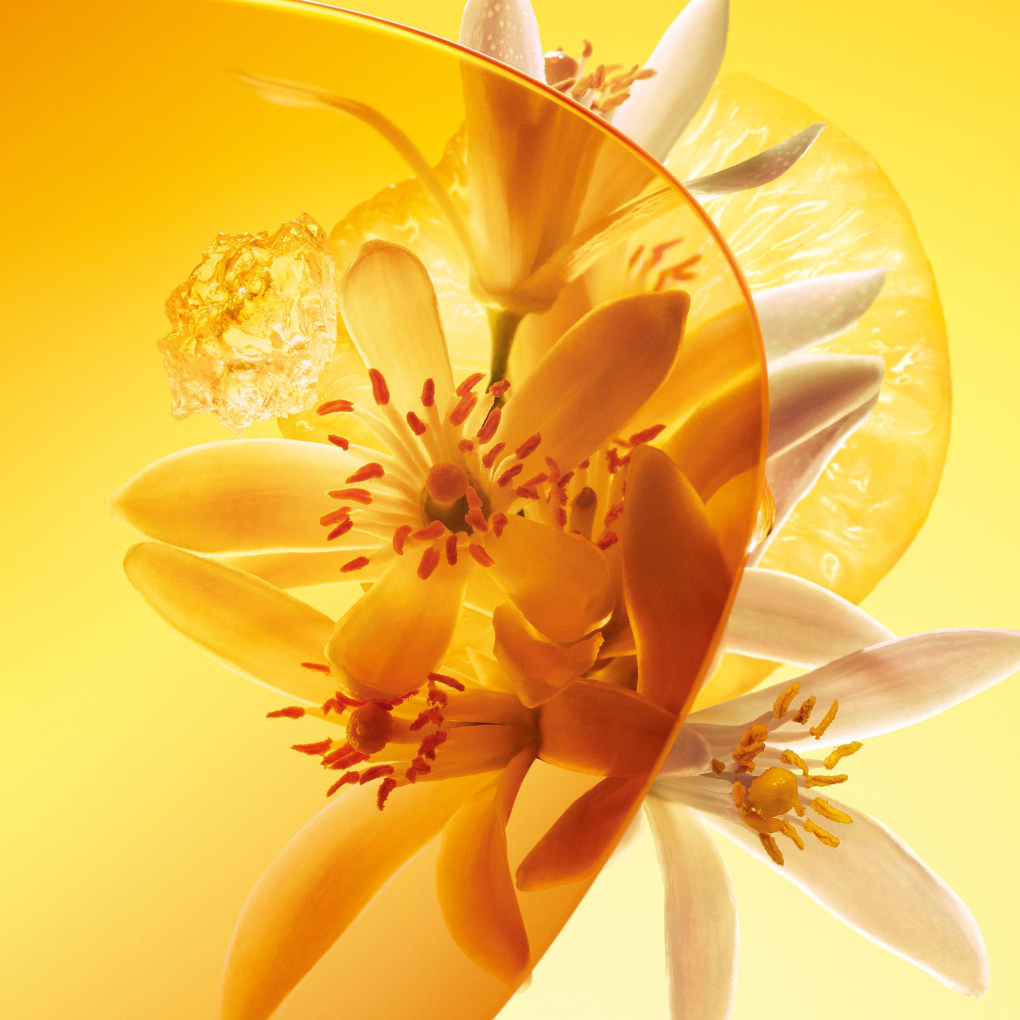 Song of the Sun Perfume - 2