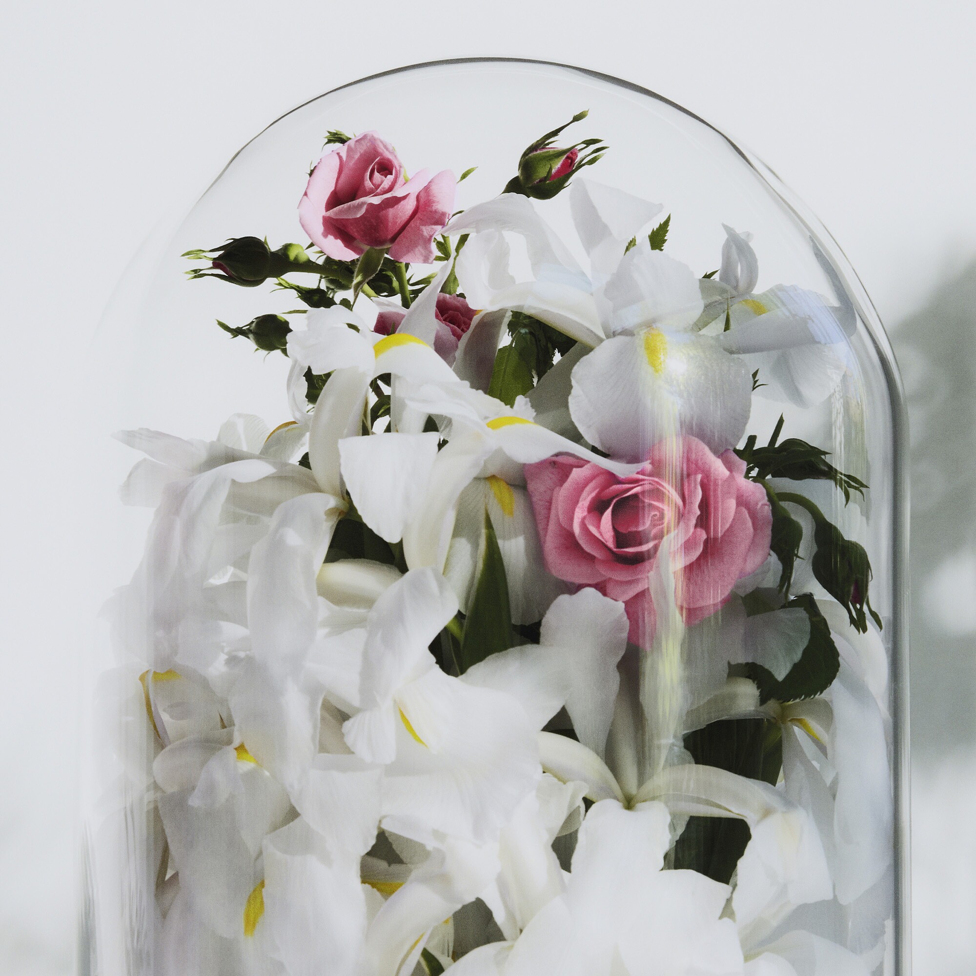 Love Print Perfume - 2