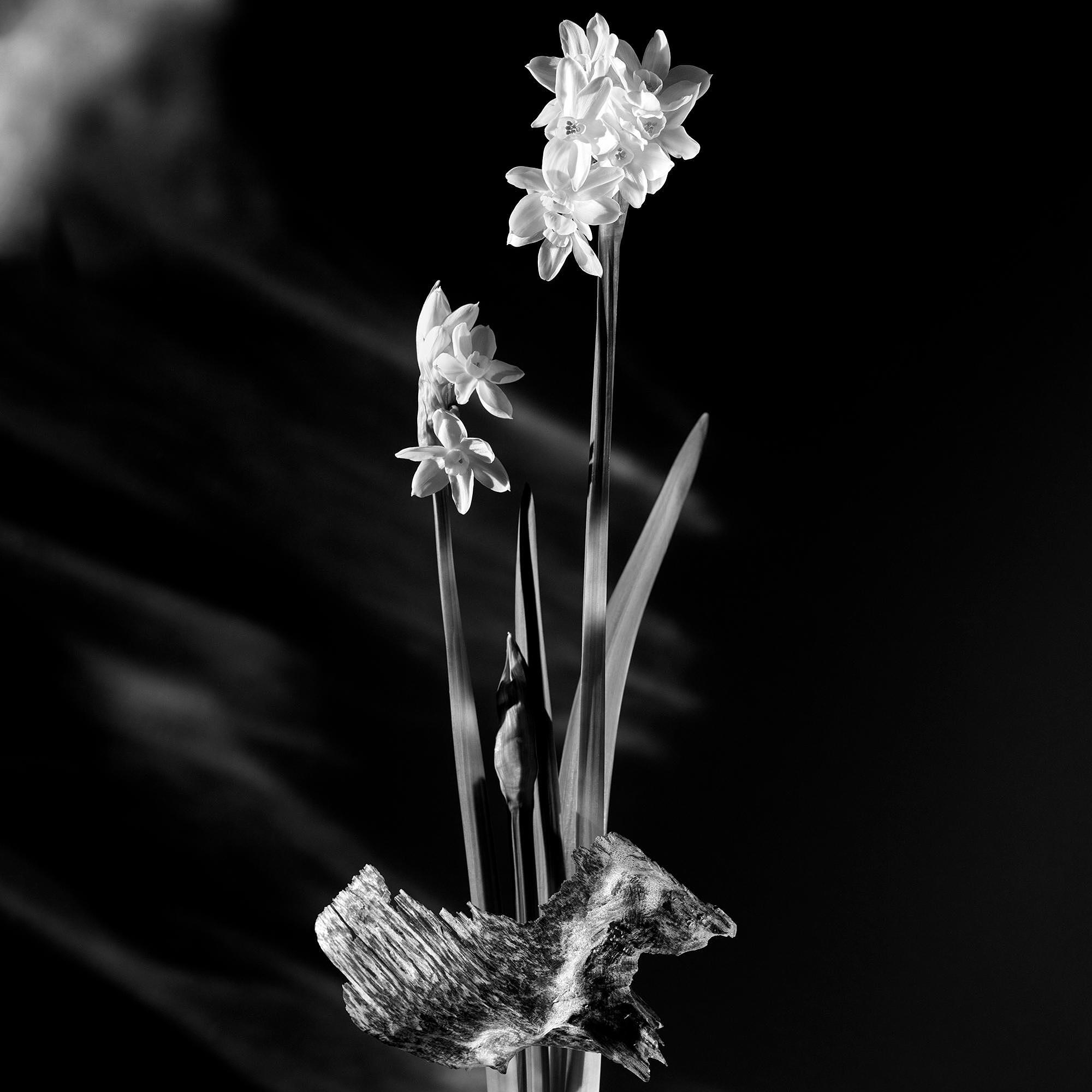 Undercurrent Perfume - 3