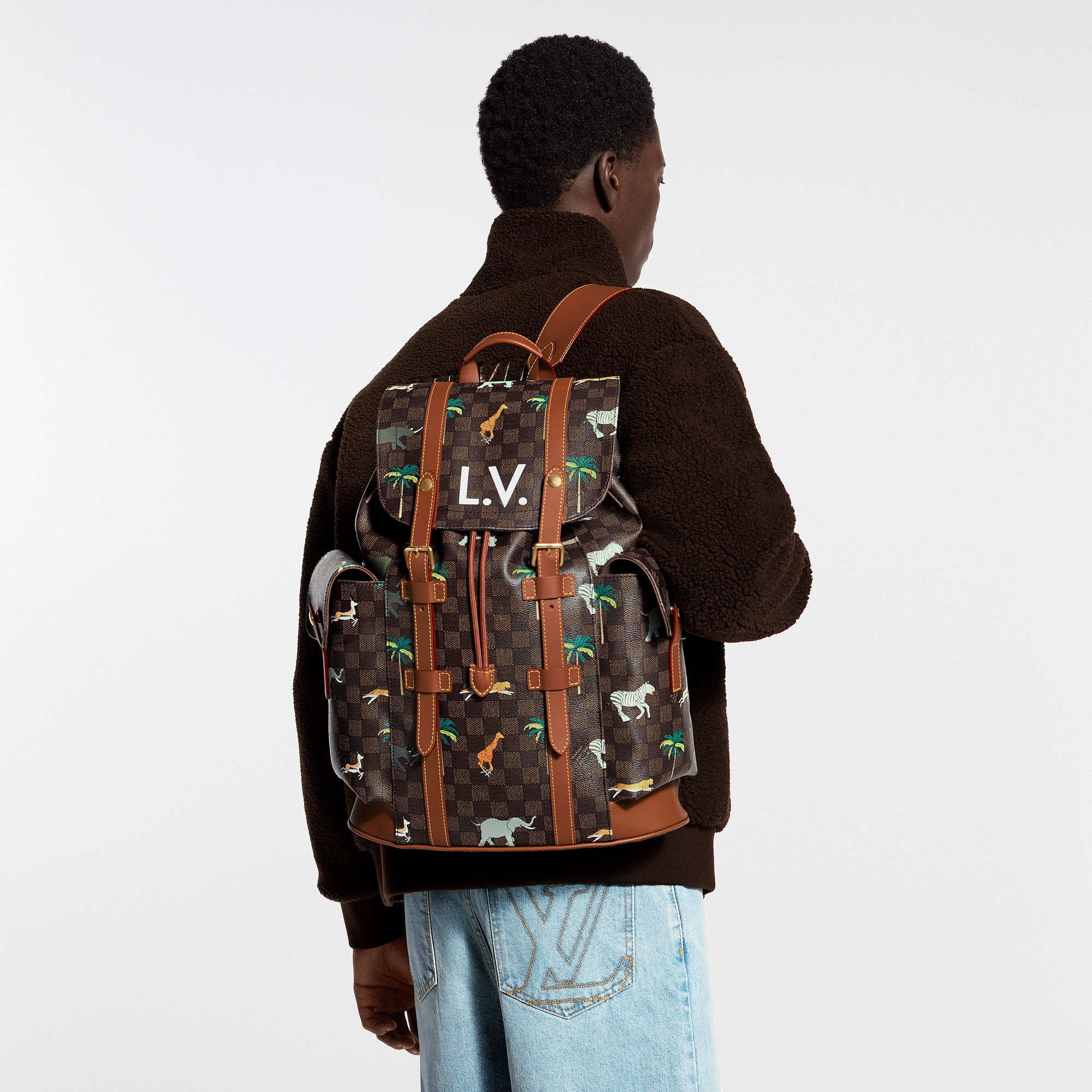 Hardware -- CHRISTOPHER Medium Backpack - LV X THE DARJELING LIMITED Collection