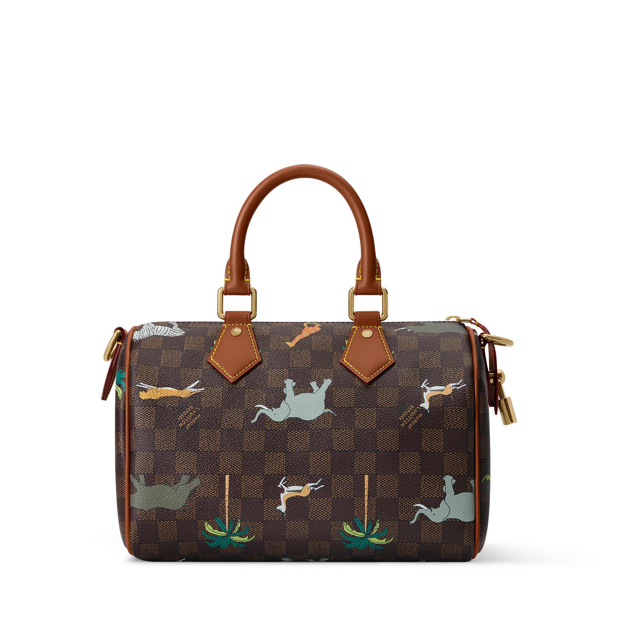 SPEEDY 25 BANDOULIèRE Handbag - LV X THE DARJELING LIMITED Collection - 5