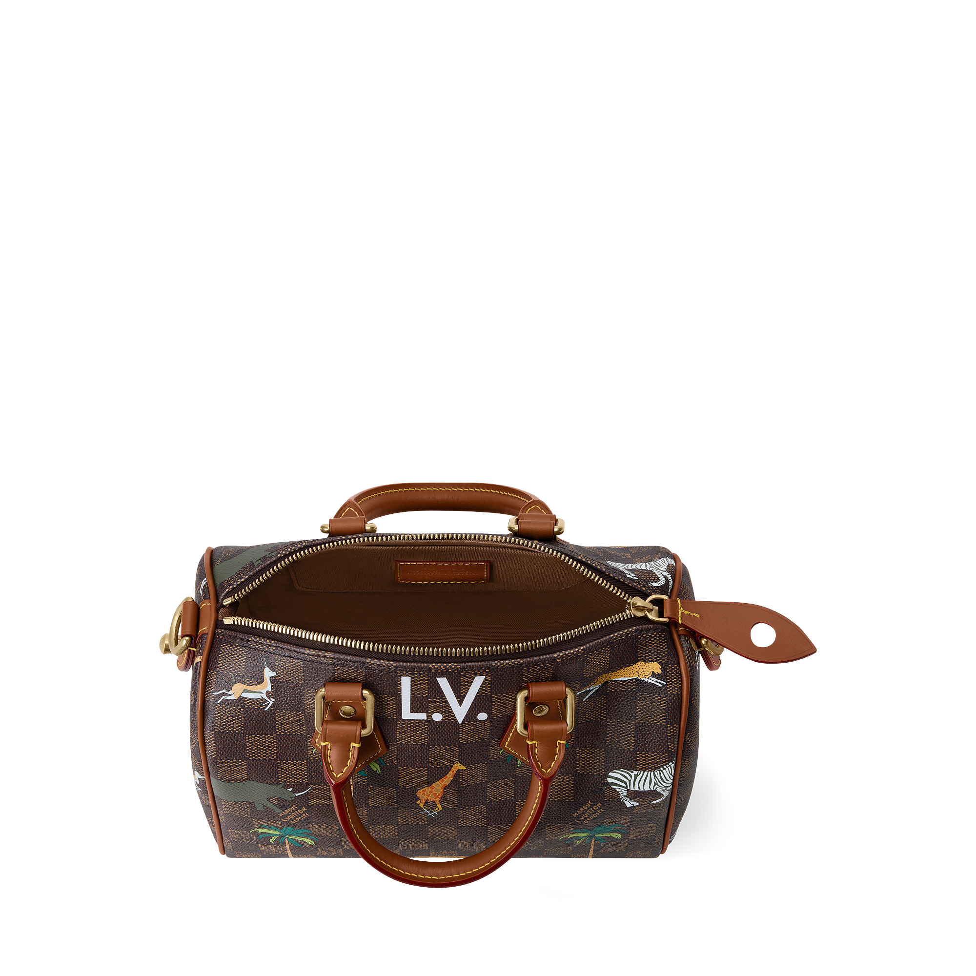 SPEEDY 25 BANDOULIèRE Handbag - LV X THE DARJELING LIMITED Collection - 4