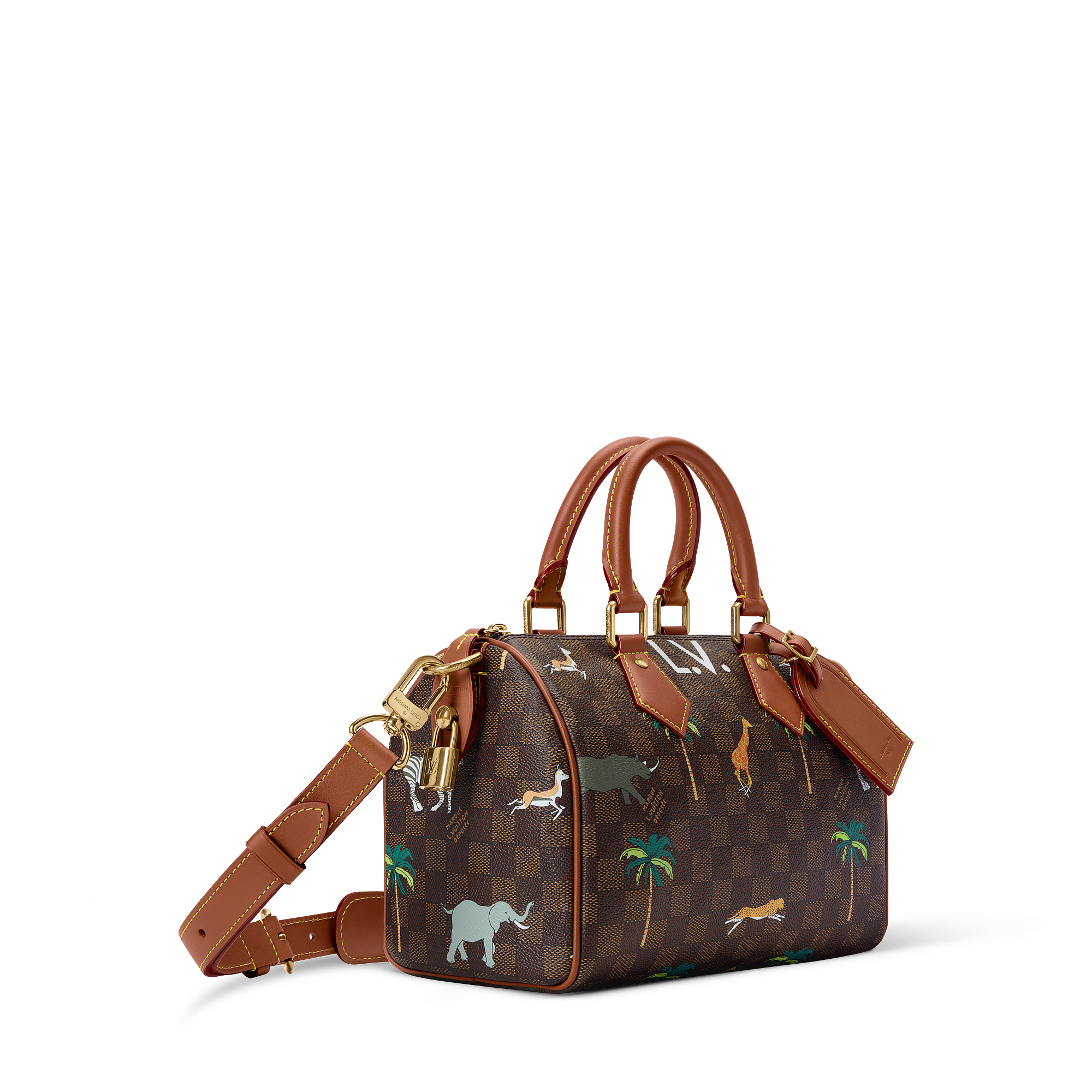 SPEEDY 25 BANDOULIèRE Handbag - LV X THE DARJELING LIMITED Collection - 3