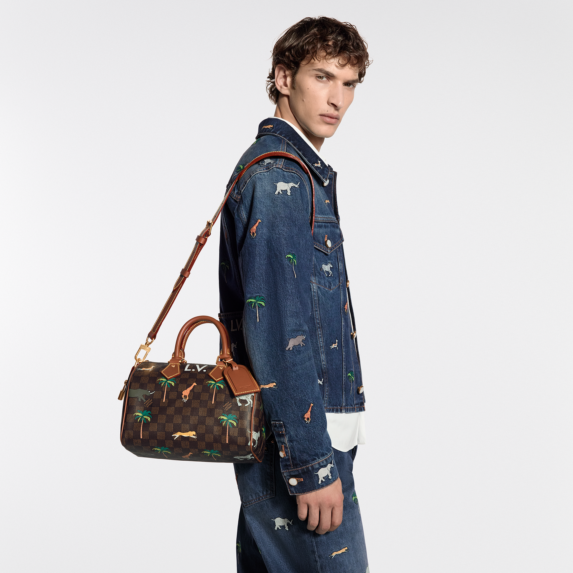 SPEEDY 25 BANDOULIèRE Handbag - LV X THE DARJELING LIMITED Collection - 2