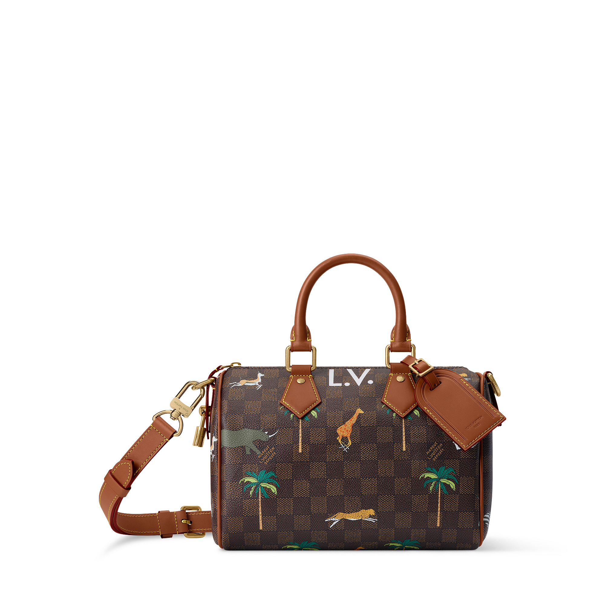 SPEEDY 25 BANDOULIèRE Handbag - LV X THE DARJELING LIMITED Collection - 1