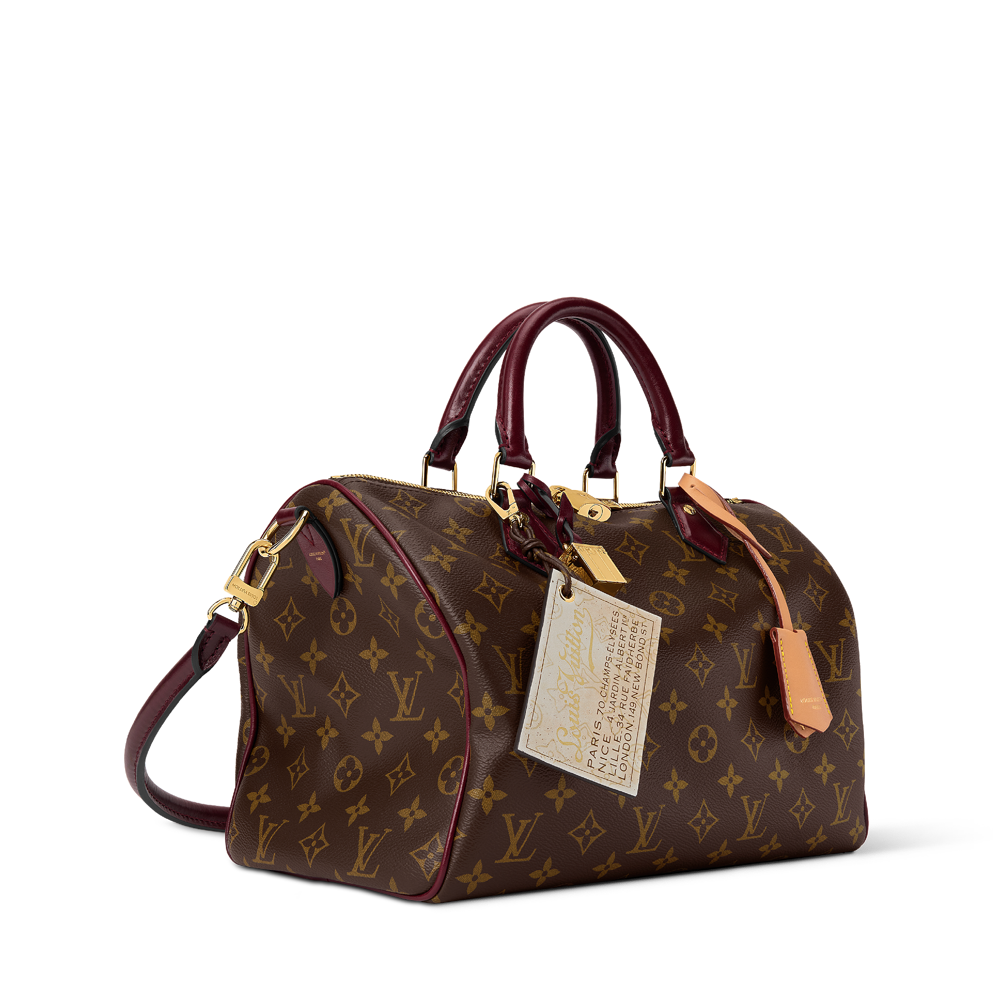 SPEEDY 30 SOFT CELEBRATION Handbag - 4