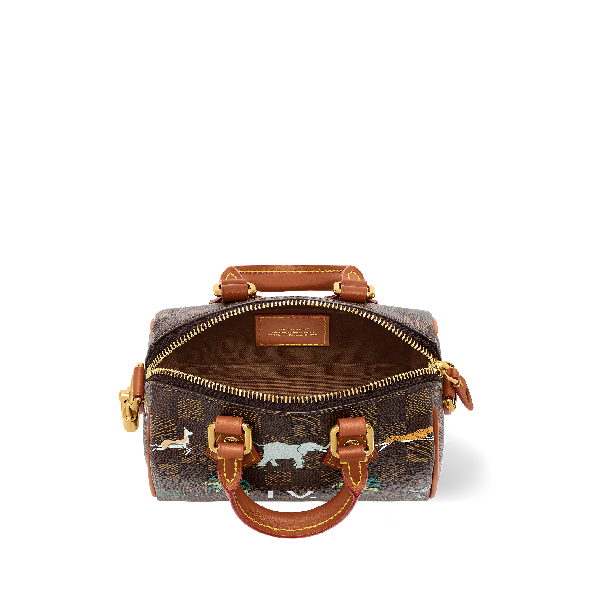 SPEEDY BANDOULIÈRE 18 Handbag - LV X THE DARJELING LIMITED Series - 5