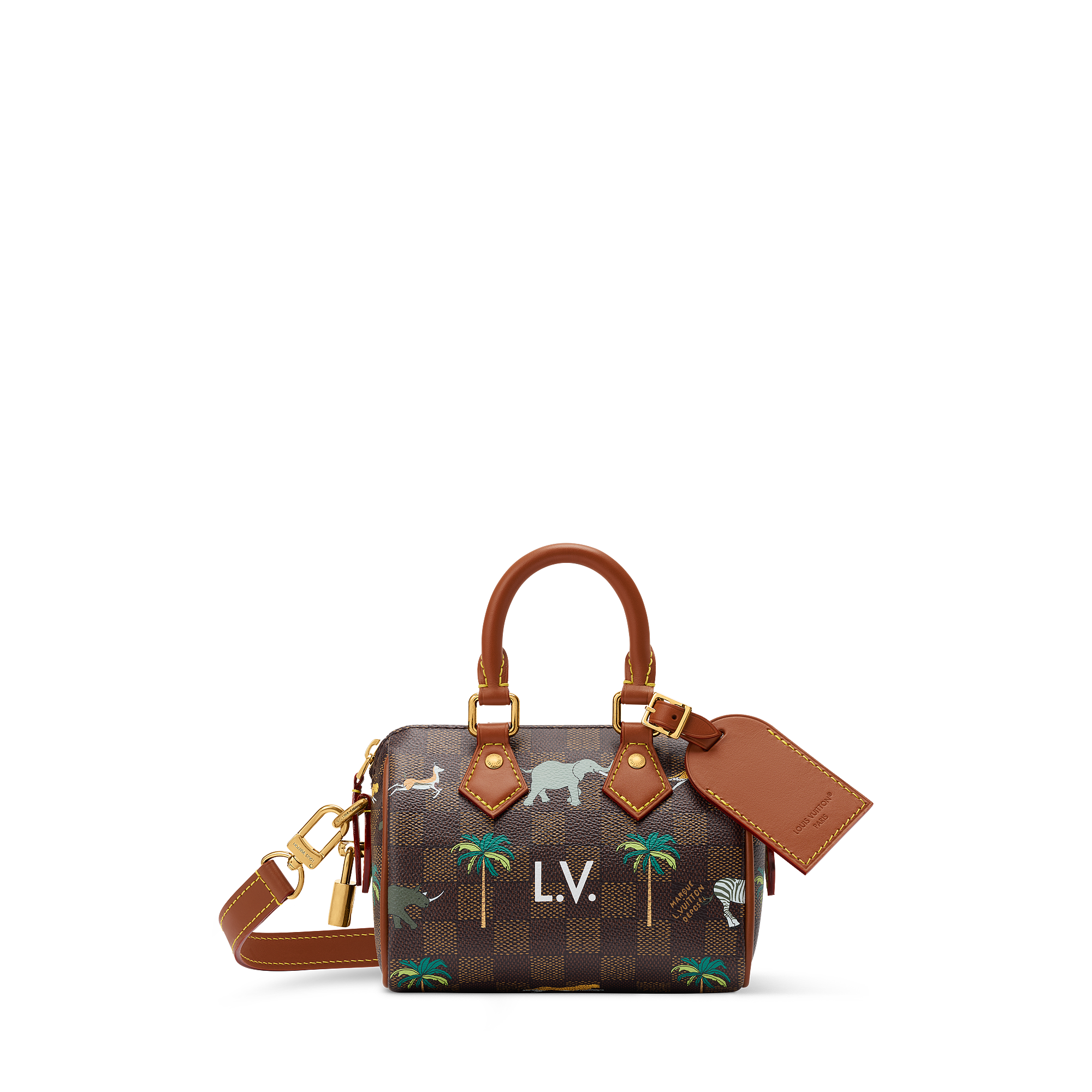 SPEEDY BANDOULIÈRE 18 Handbag - LV X THE DARJELING LIMITED Series - 1