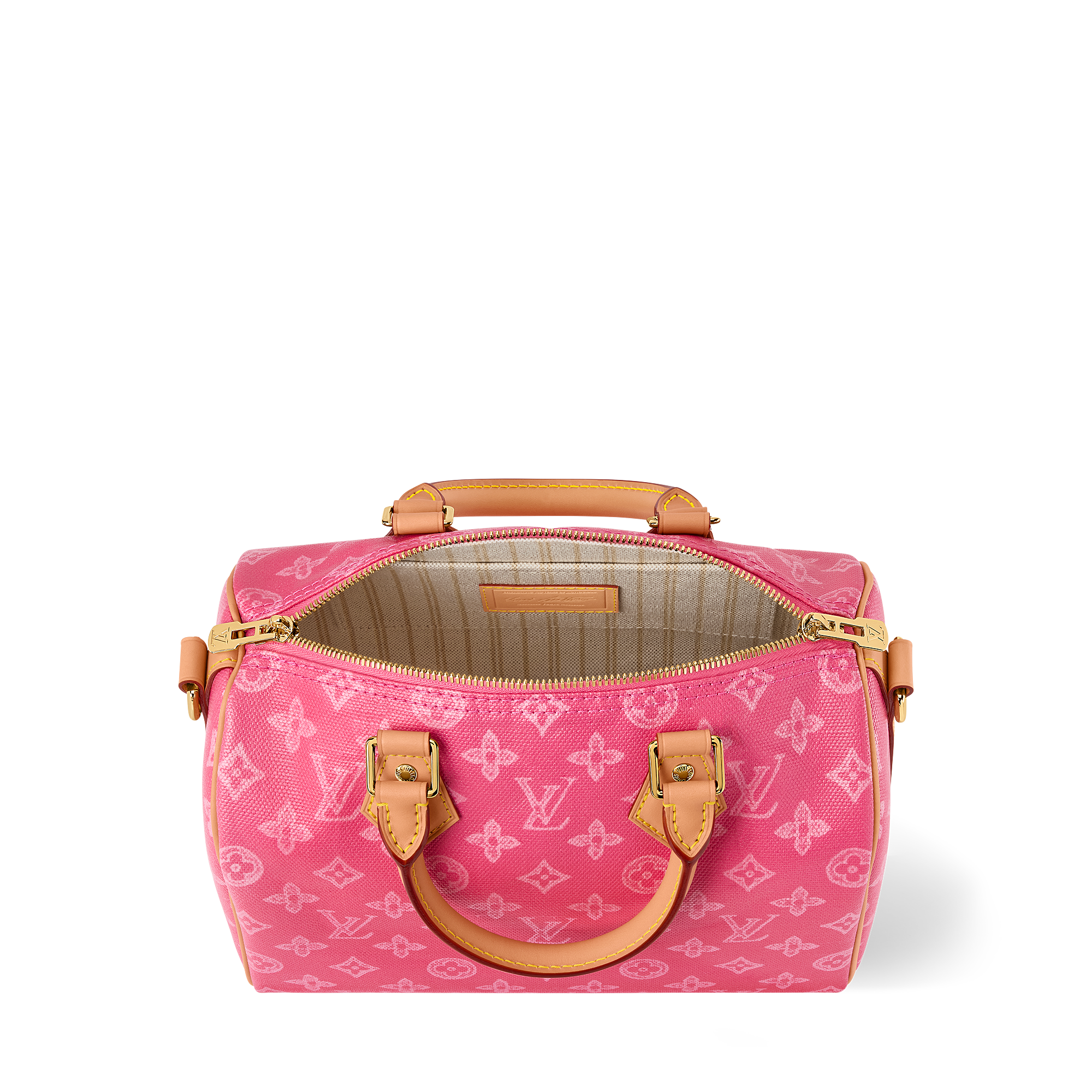 SPEEDY BANDOULIÈRE 25 Handbag - 5