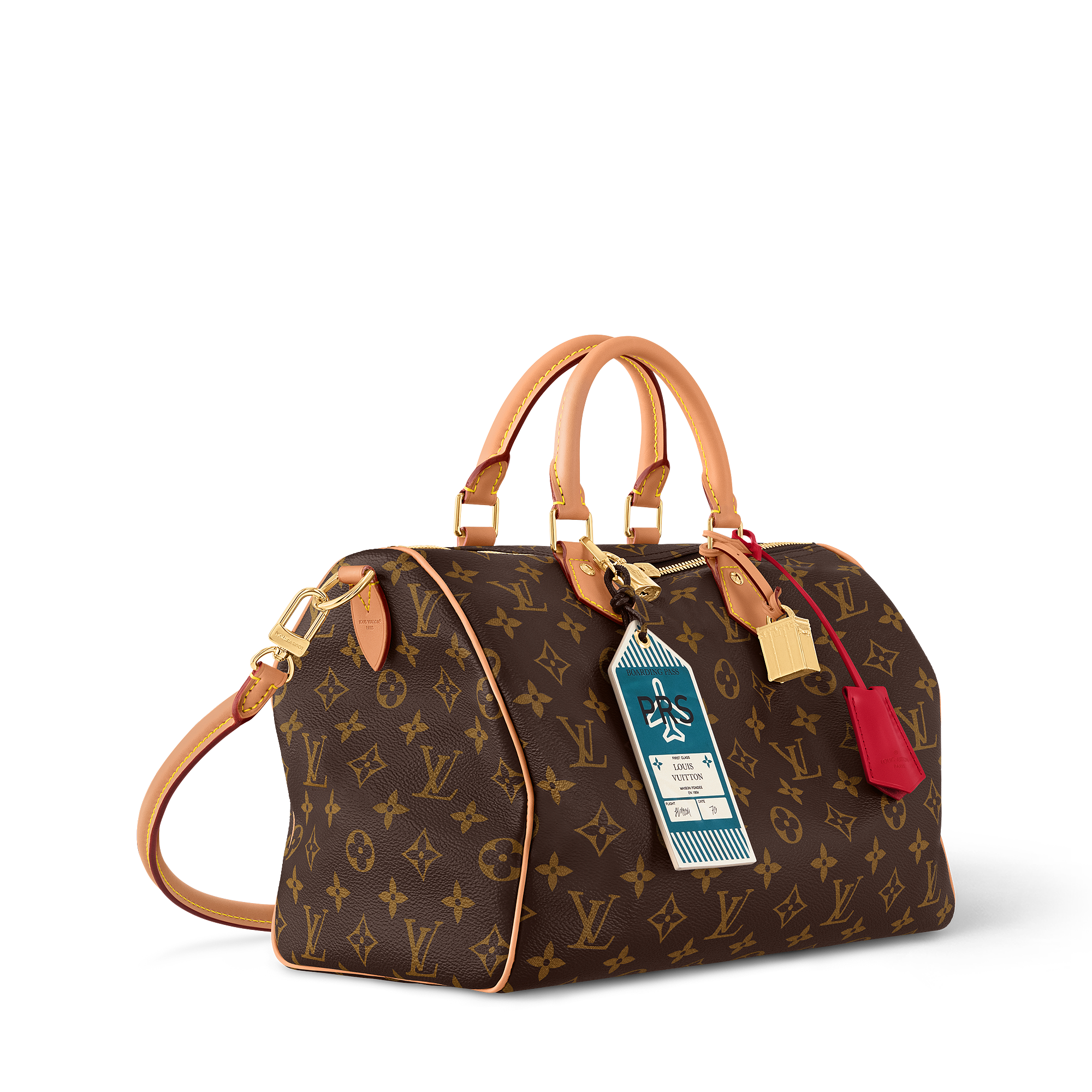 Leather -- SPEEDY SOFT 30 CRAFTY handbag