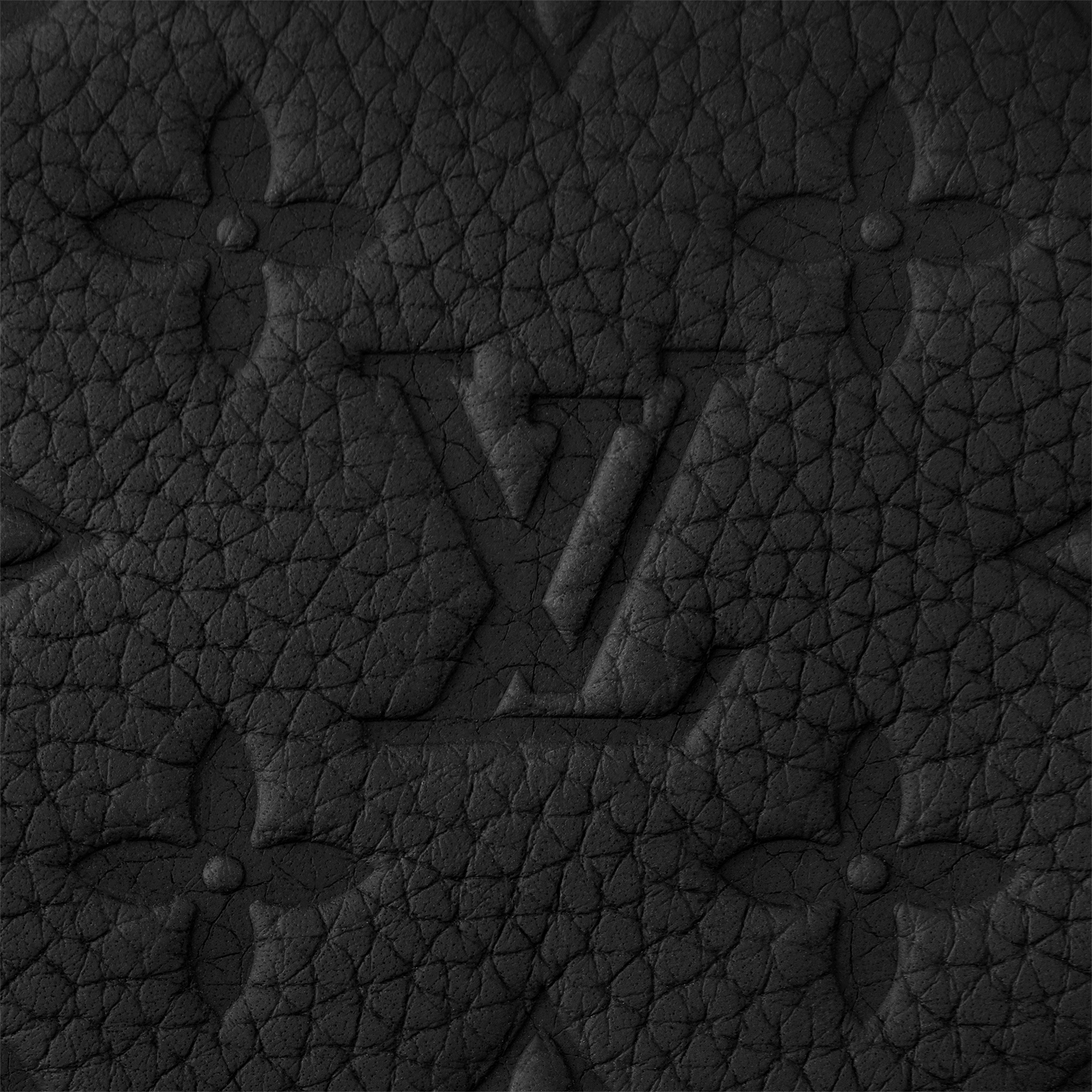 LV} - LVMonogram Taurillon Leather LG - G90 - LV男士旅行用品 | 路易威登LOUIS VUITTON官网 (产品缩放)