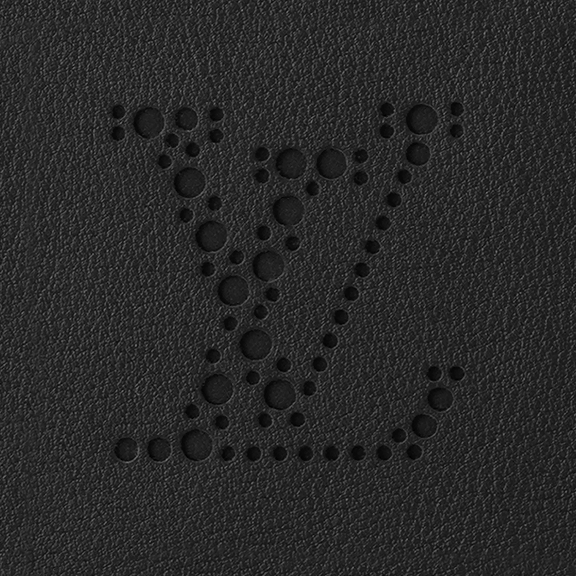 LV} - LVOther Leathers - LVLes Extraordinaires硬箱系列 | 路易威登LOUIS VUITTON官网 (产品缩放)
