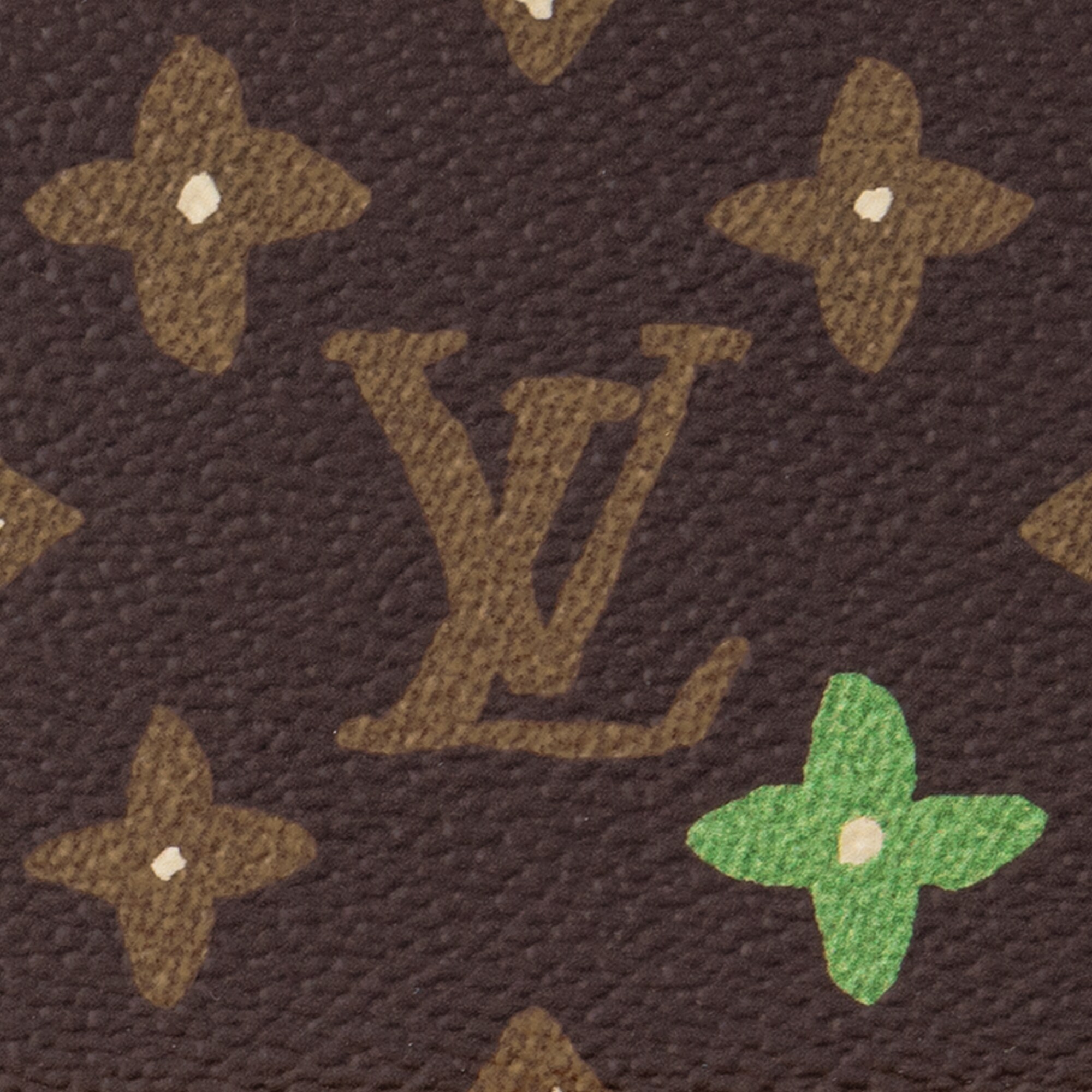 LV} - LVMonogram Other - LVLes Extraordinaires硬箱系列 | 路易威登LOUIS VUITTON官网 (产品缩放)