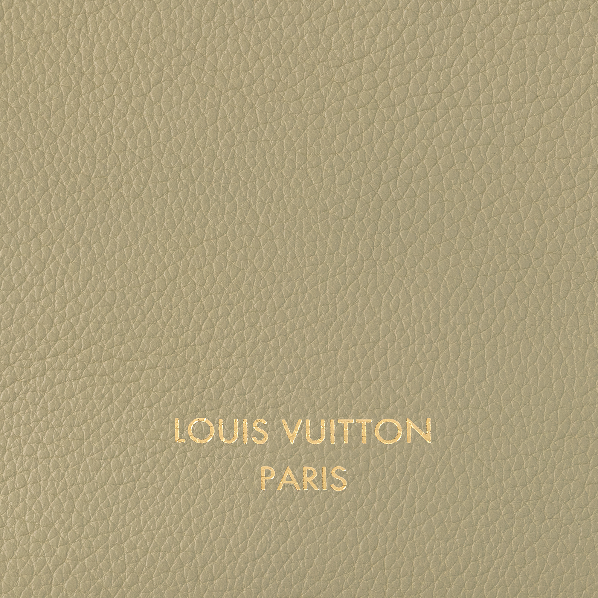 LV} - LVH31 - LV女士时尚手袋 | 路易威登LOUIS VUITTON官网 (产品缩放)