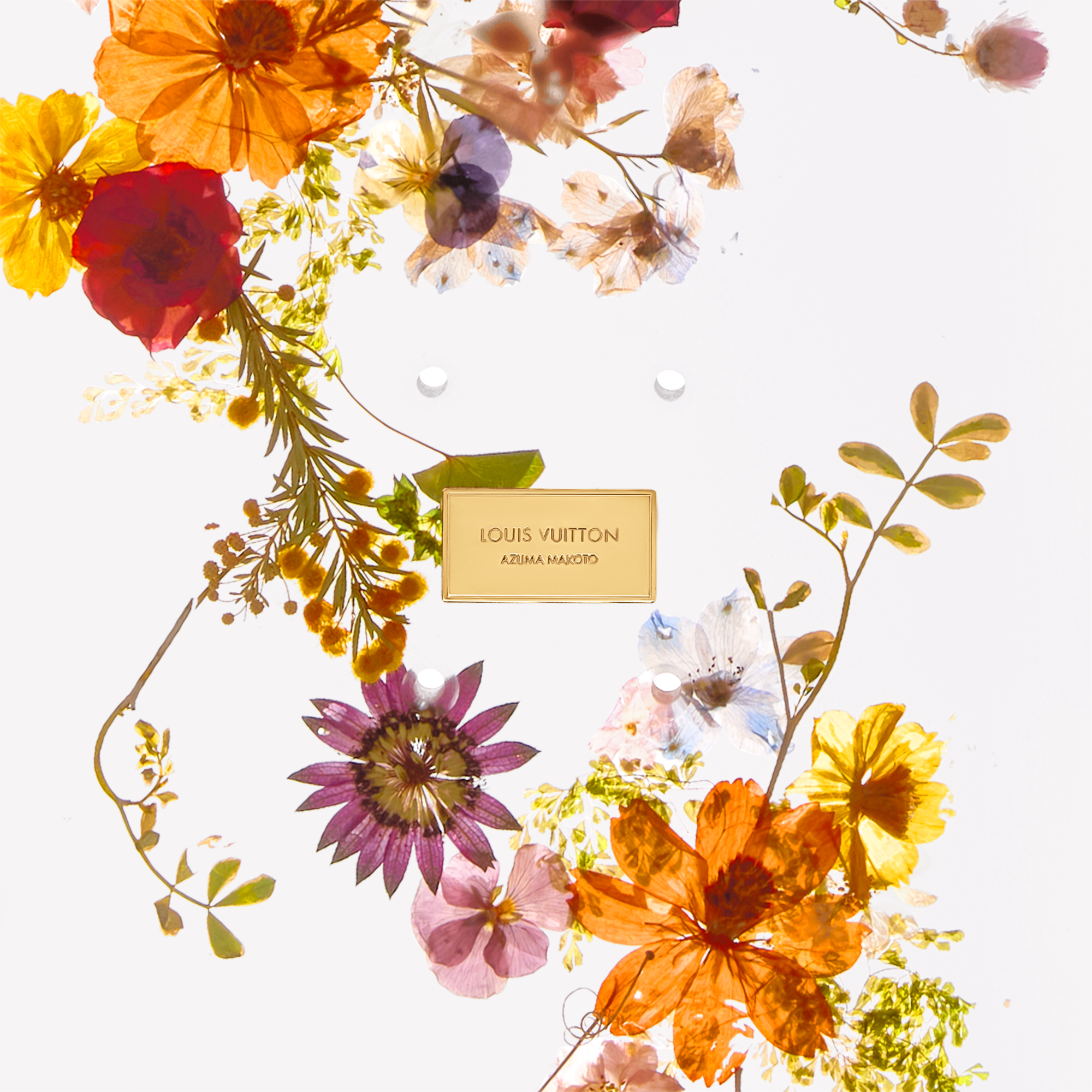 LV} - LVS00 - LV硬箱、旅行和家居运动用品和游戏 | 路易威登LOUIS VUITTON官网 (产品缩放)