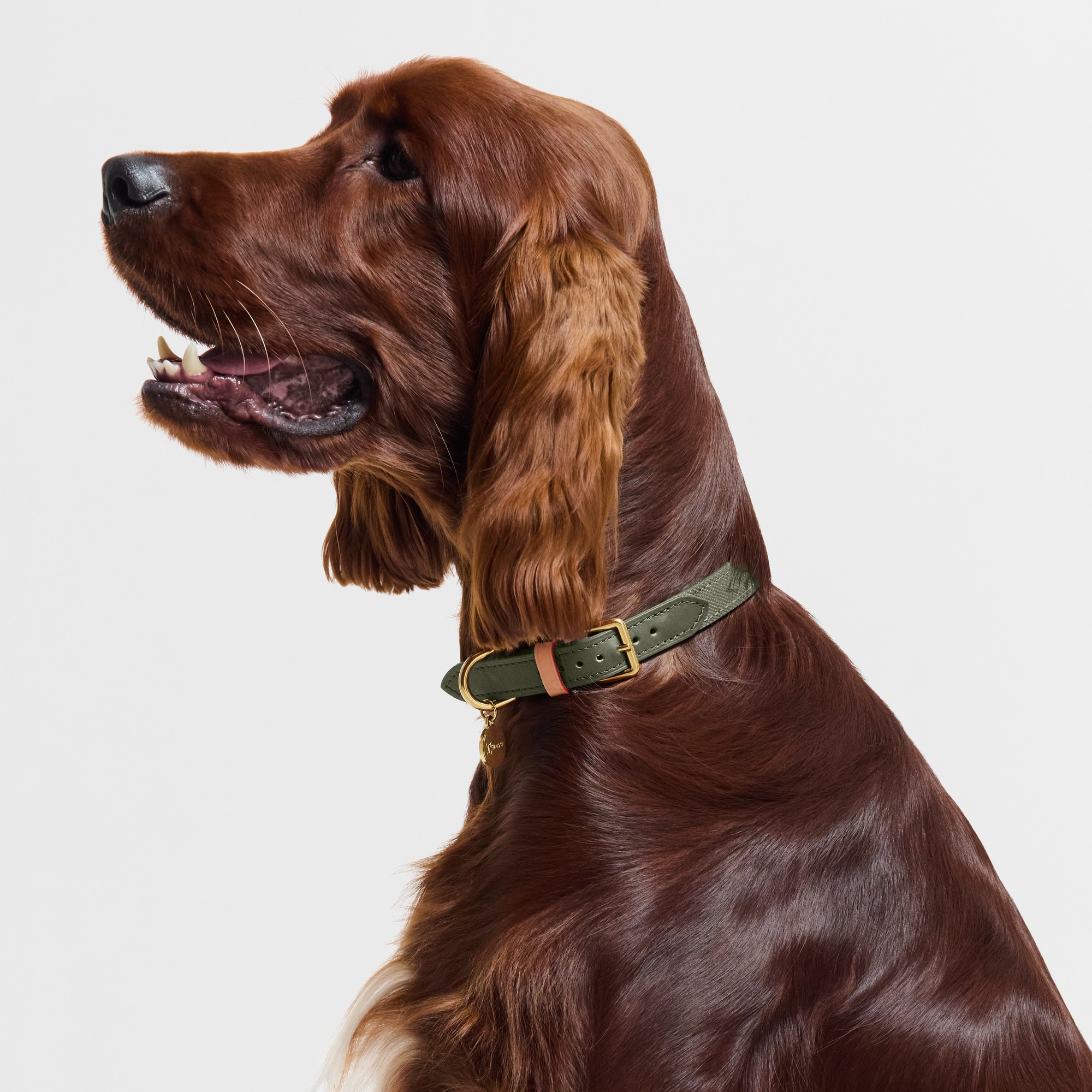 LV} - LVS00 - LV硬箱、旅行和家居宠物配饰 | 路易威登LOUIS VUITTON官网 (产品缩放)