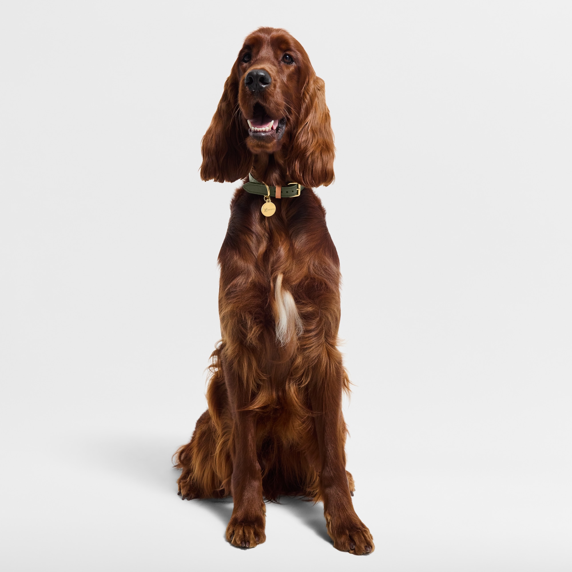 LV} - LVS00 - LV硬箱、旅行和家居宠物配饰 | 路易威登LOUIS VUITTON官网 (产品缩放)