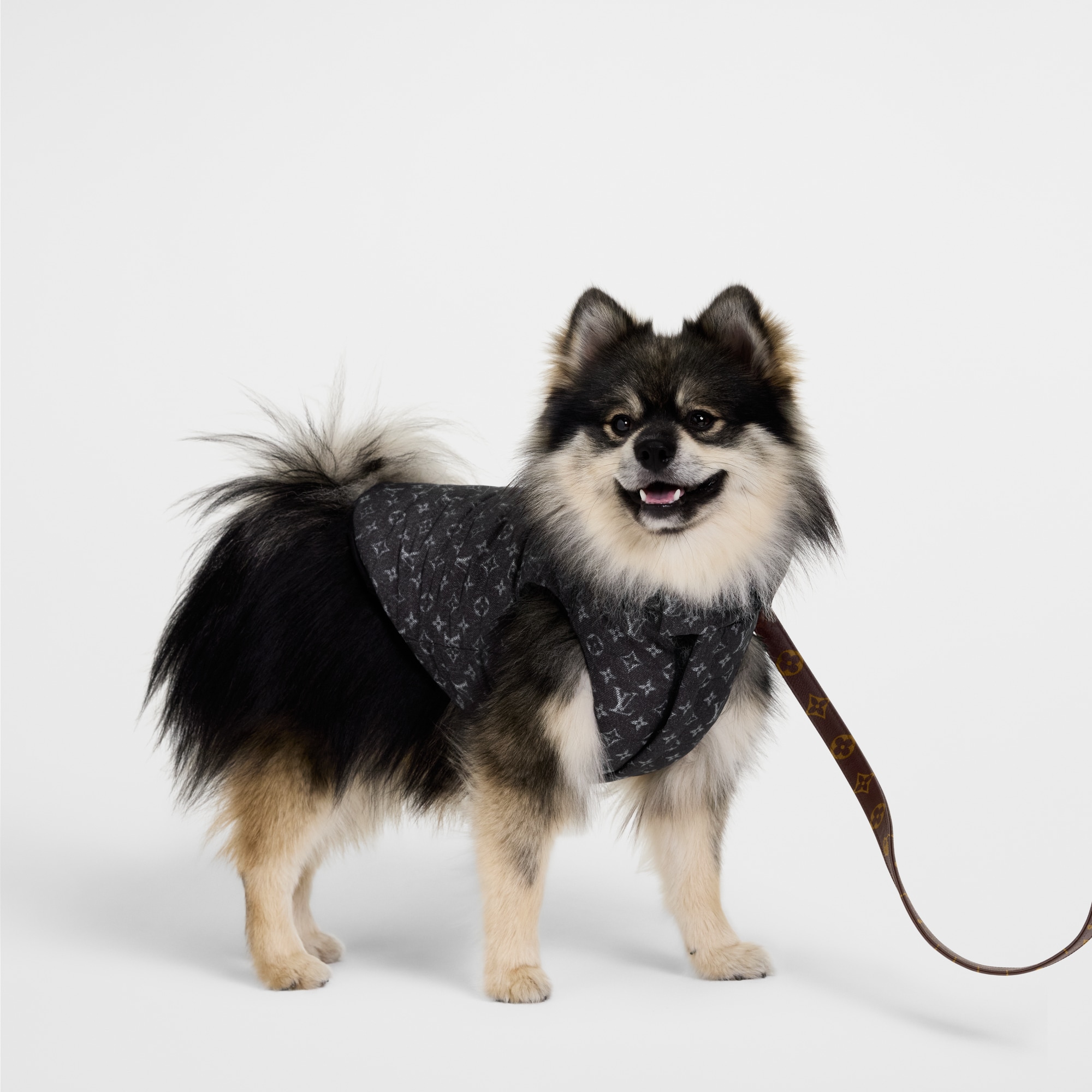 LV} - LVS00 - LV硬箱、旅行和家居宠物配饰 | 路易威登LOUIS VUITTON官网 (产品缩放)