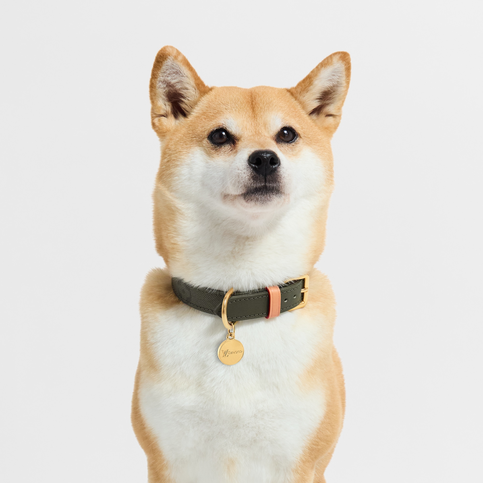 LV} - LVS00 - LV硬箱、旅行和家居宠物配饰 | 路易威登LOUIS VUITTON官网 (产品缩放)