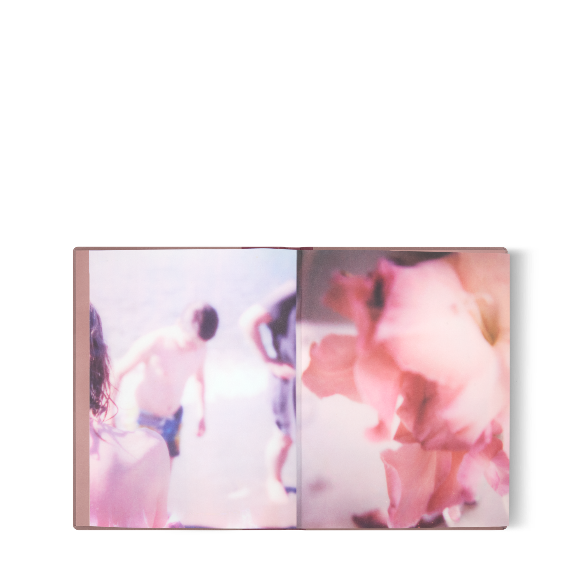 LV} - LV - LV硬箱、旅行和家居书籍和文具 | 路易威登LOUIS VUITTON官网 (产品缩放)