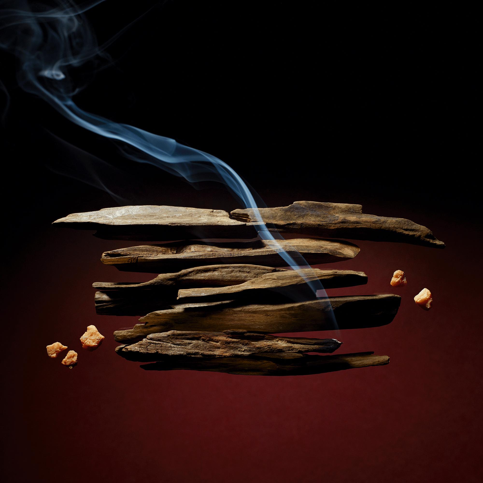 LV} - LV - LV | 路易威登LOUIS VUITTON官网 (产品缩放)