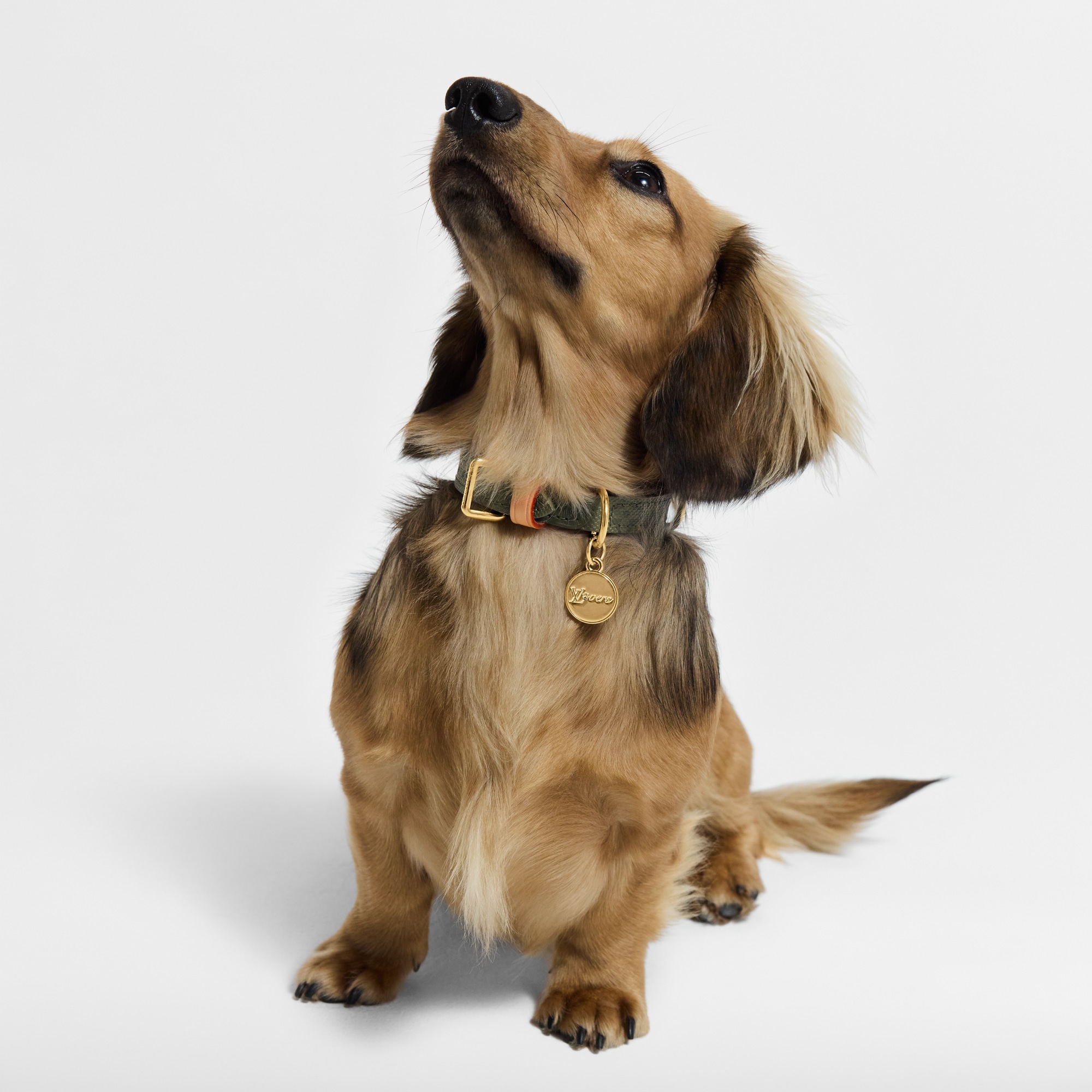 LV} - LVS00 - LV硬箱、旅行和家居宠物配饰 | 路易威登LOUIS VUITTON官网 (产品缩放)