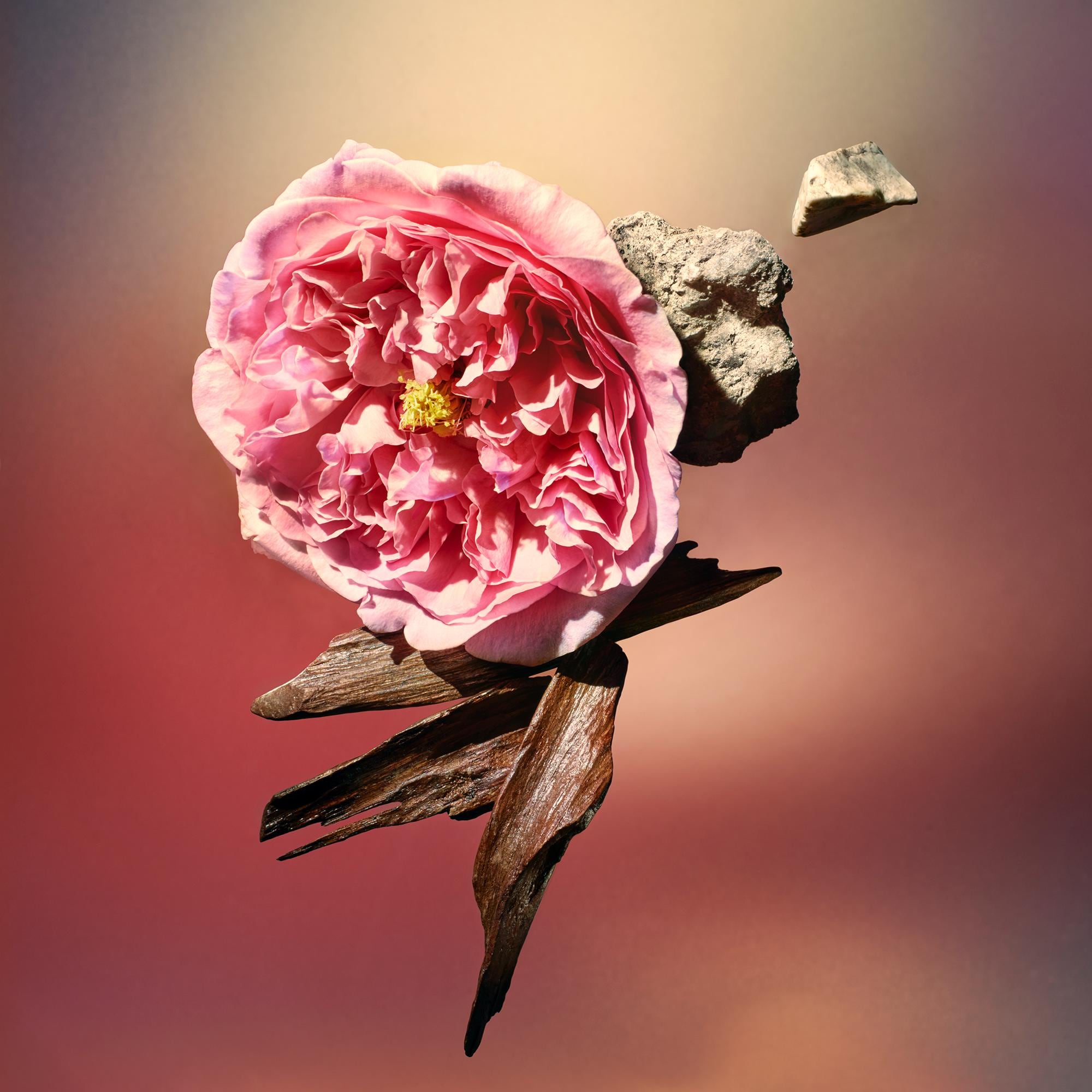 LV} - LV - LV | 路易威登LOUIS VUITTON官网 (产品缩放)