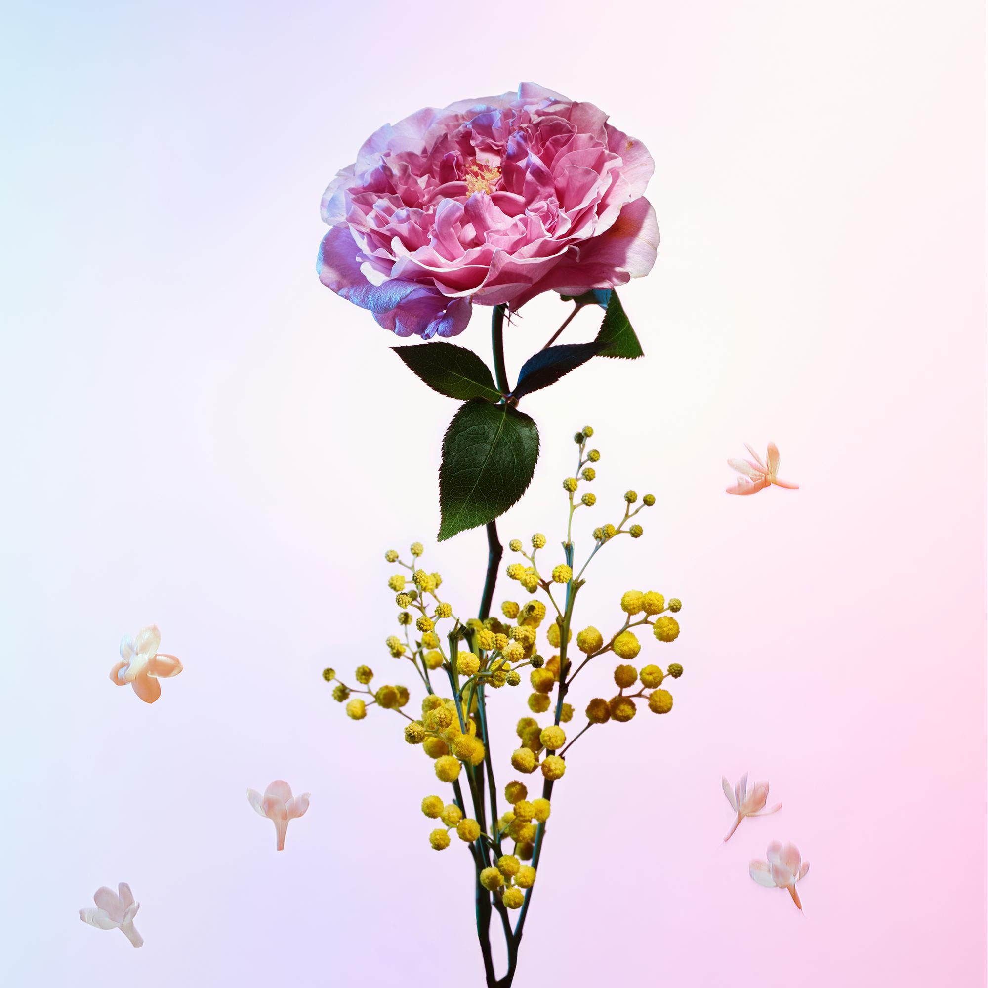 LV} - LV - LV香水美妆香水系列 | 路易威登LOUIS VUITTON官网 (产品缩放)