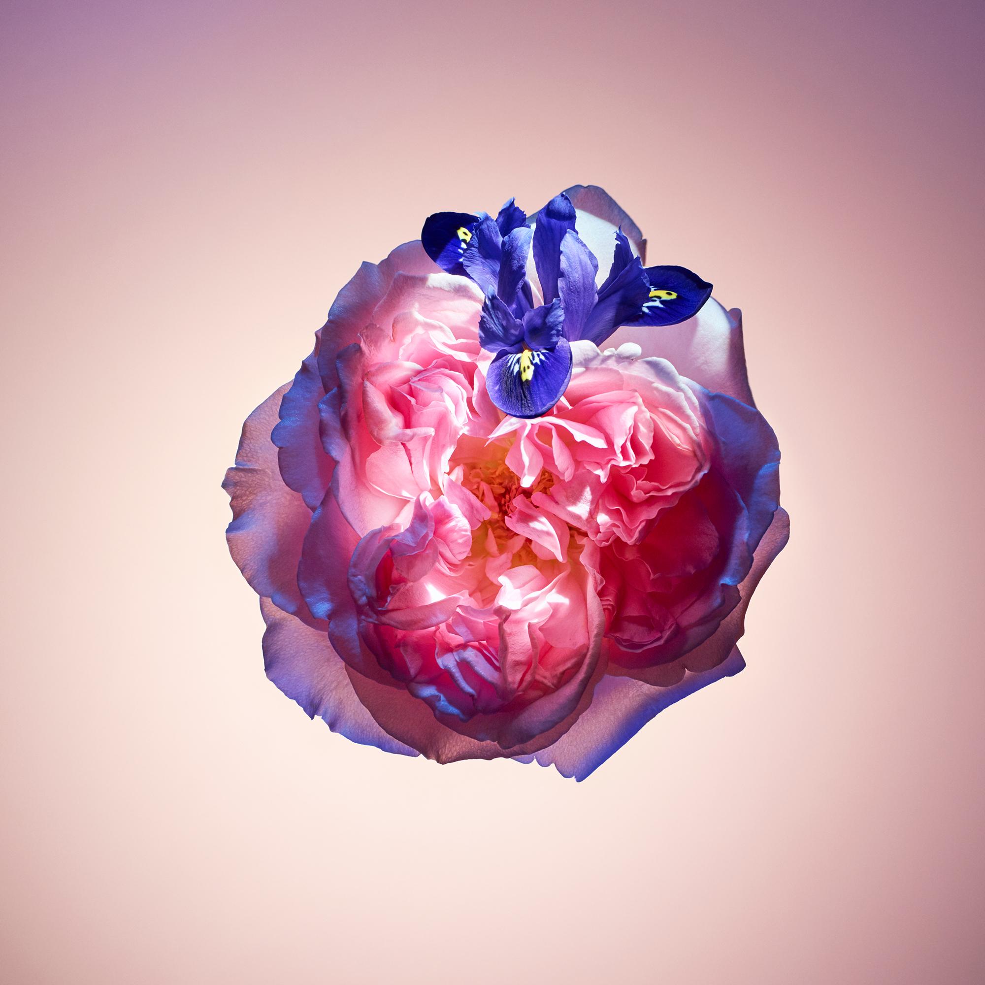 LV} - LV - LV香水美妆香水系列 | 路易威登LOUIS VUITTON官网 (产品缩放)